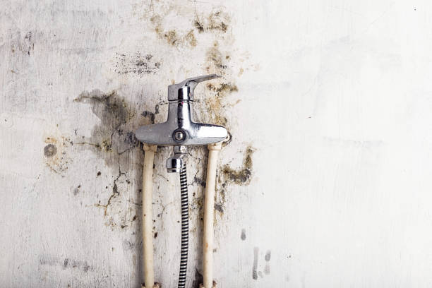 Best Mold Remediation  in Grandville, MI