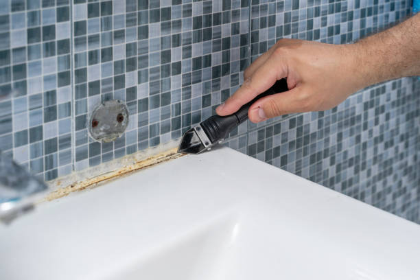 Best Mold Removal Company Near Me  in Grandville, MI