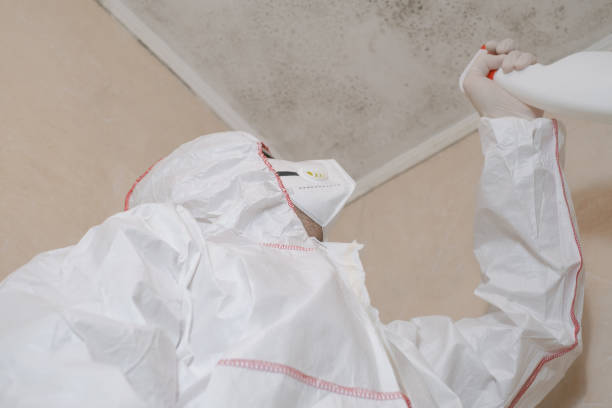 Best Mold Cleaning Services  in Grandville, MI