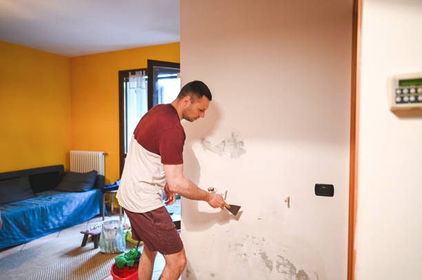 Best Attic Mold Removal  in Grandville, MI