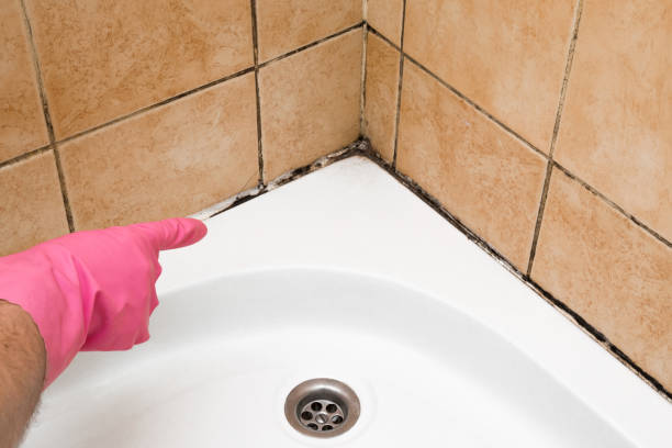 Best Residential Mold Removal  in Grandville, MI